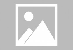 天天吃瓜官方网,官方网站带你领略网络热点的魅力